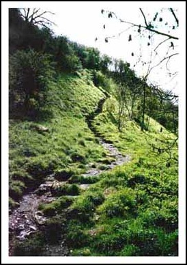 Cales Dale's 163 steps